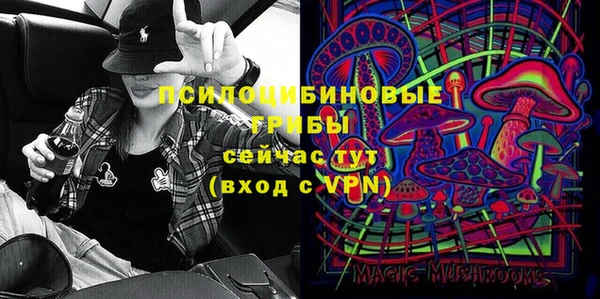 крисы Абаза