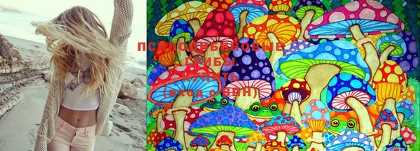 меф Алексеевка