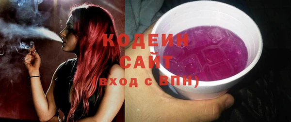 крисы Абаза