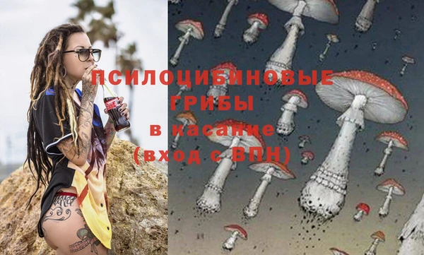 крисы Абаза