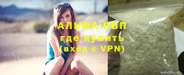 крисы Абаза