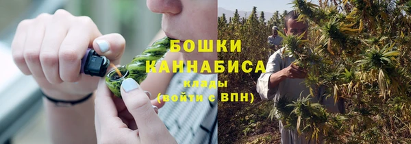 PSILOCYBIN Абинск