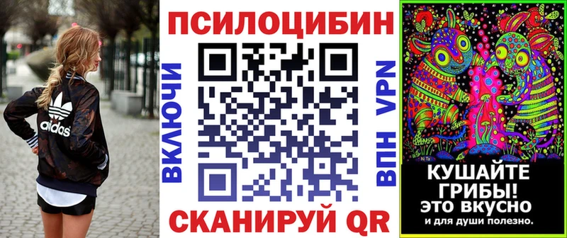 Псилоцибиновые грибы мухоморы  Боровичи 